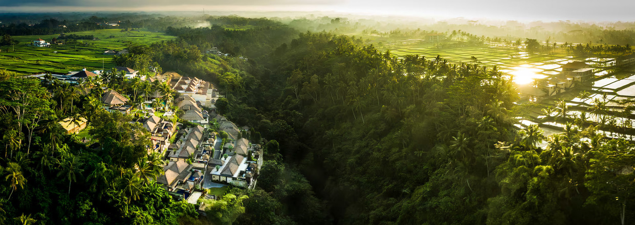 Viceroy Bali 5* — роскошь, вдохновленная природой Убуда!